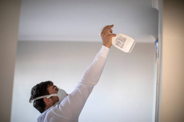 Reliable Rock Island, IL Mold Removal Solutions